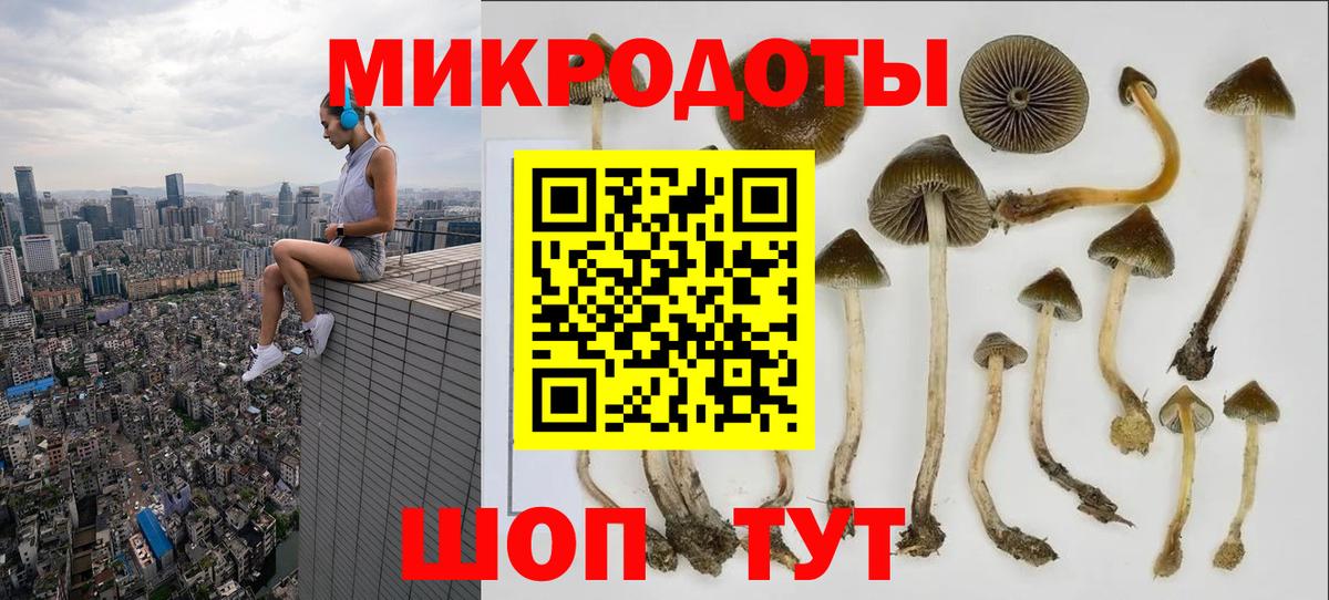 Псилоцибиновые грибы MAGIC MUSHROOMS Дюртюли